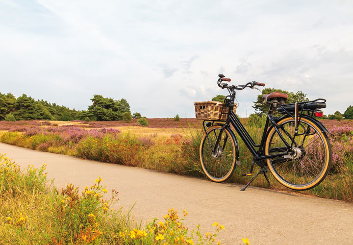 Fietsen Nederlandse Achterhoek