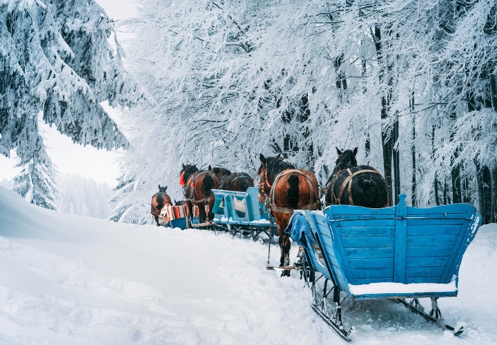 Winters genieten in Centraal-Zwitserland en het Vierwoudstedenmeer