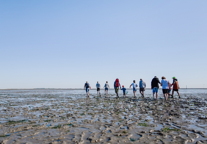 Groningen en waddenlopen